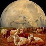 Mars sheep badge image